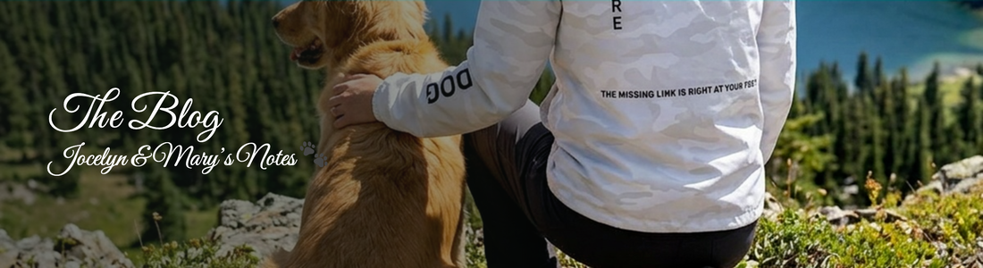 The Blog — Jocelyn & Mary's Notes | Future Dog The Store