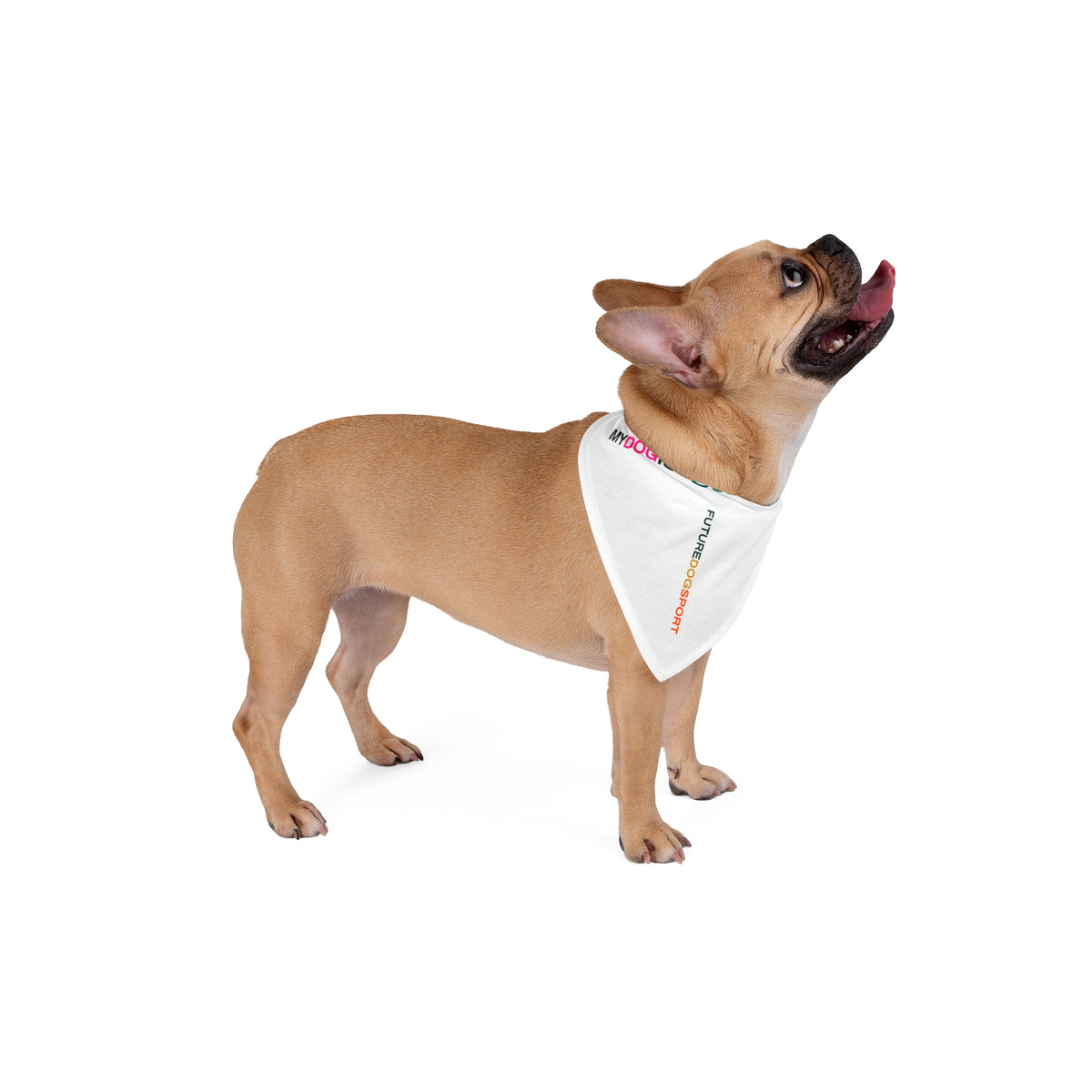 Bandana, product image 4