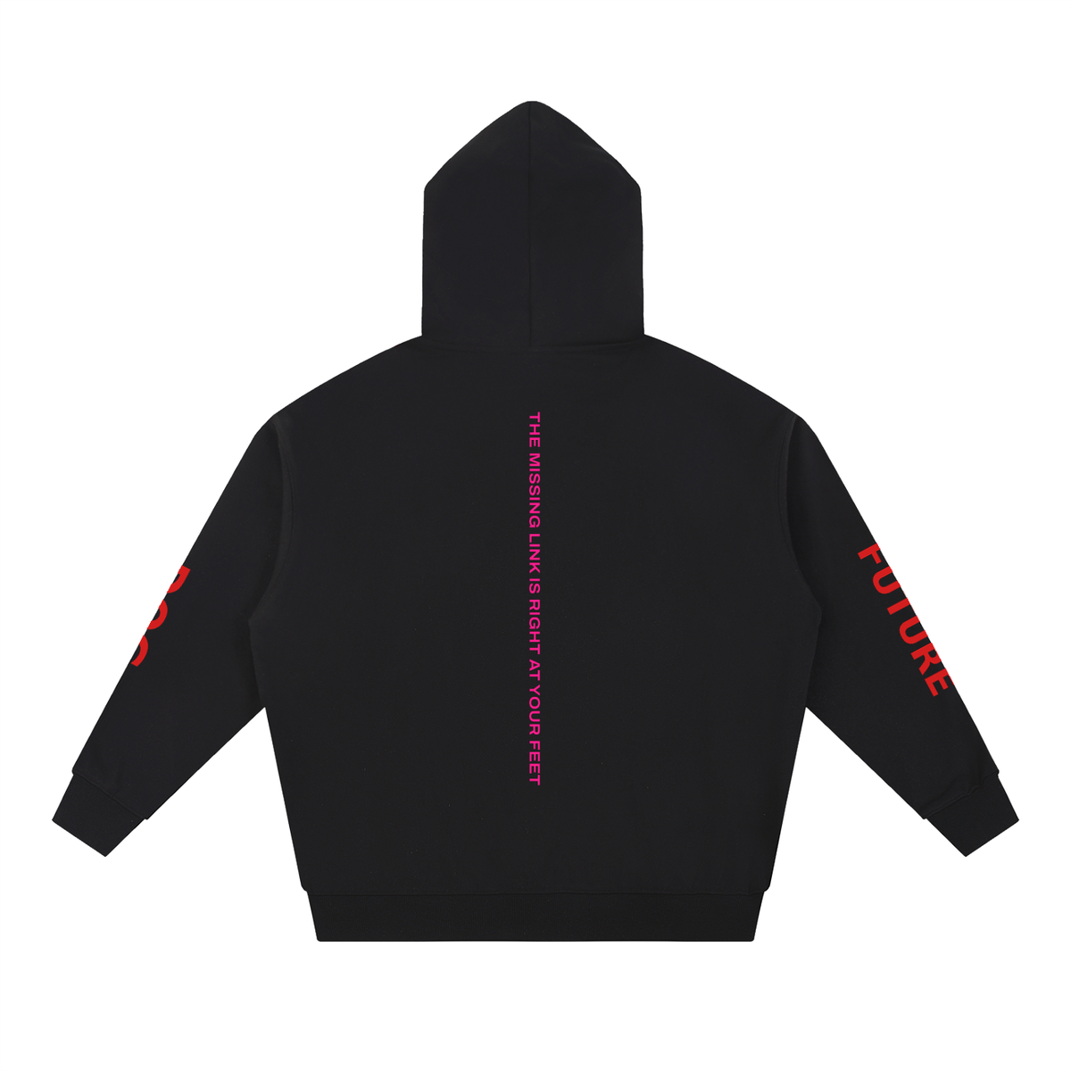 THE MARY FALL — Hoodie