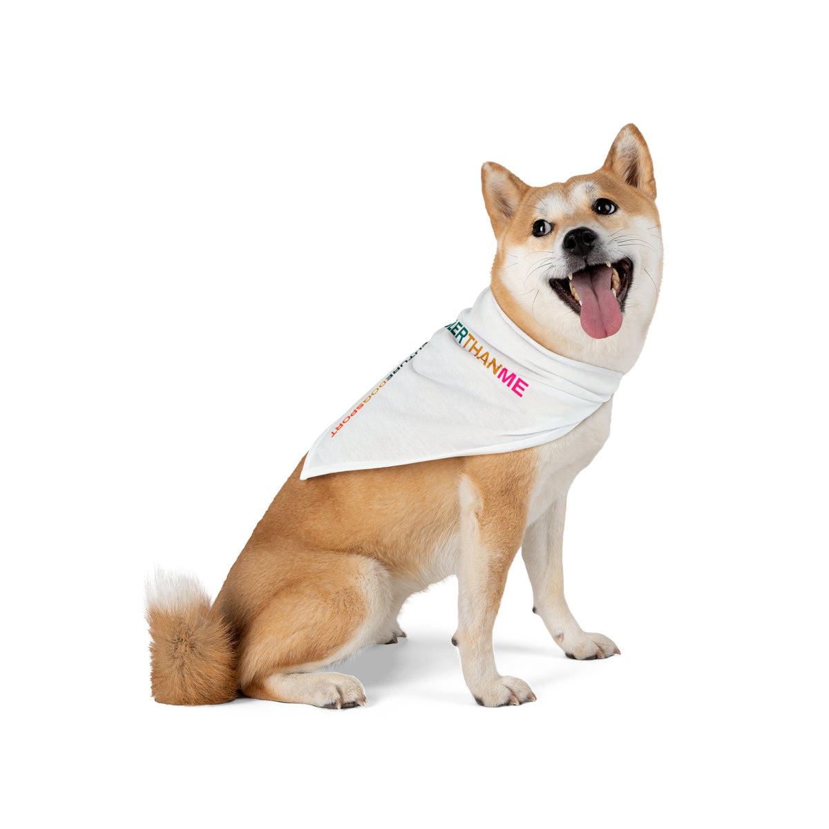 Bandana, product image 5