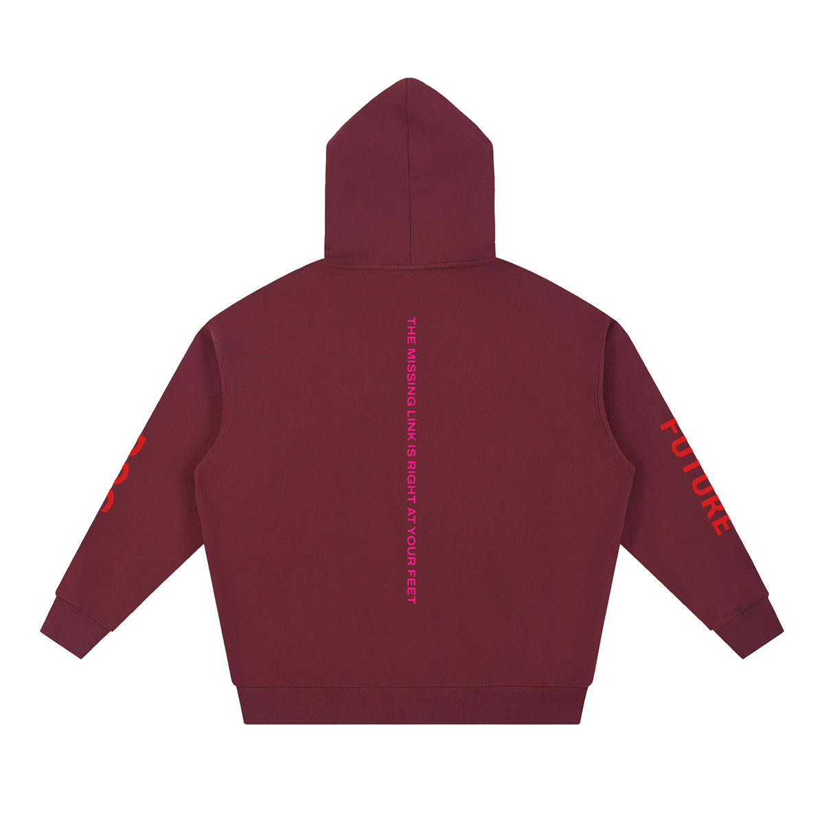 THE MARY FALL — Hoodie